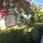 Veronika *