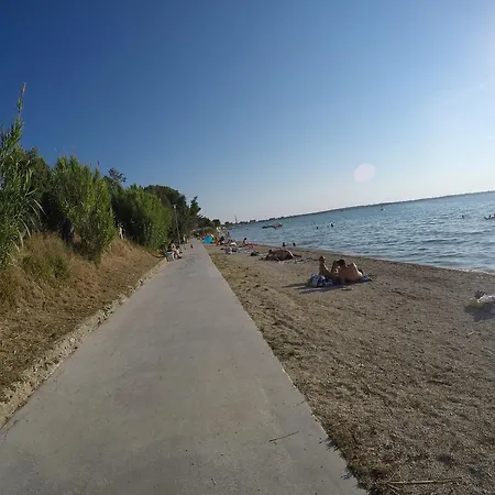 Veronika * Vrsi